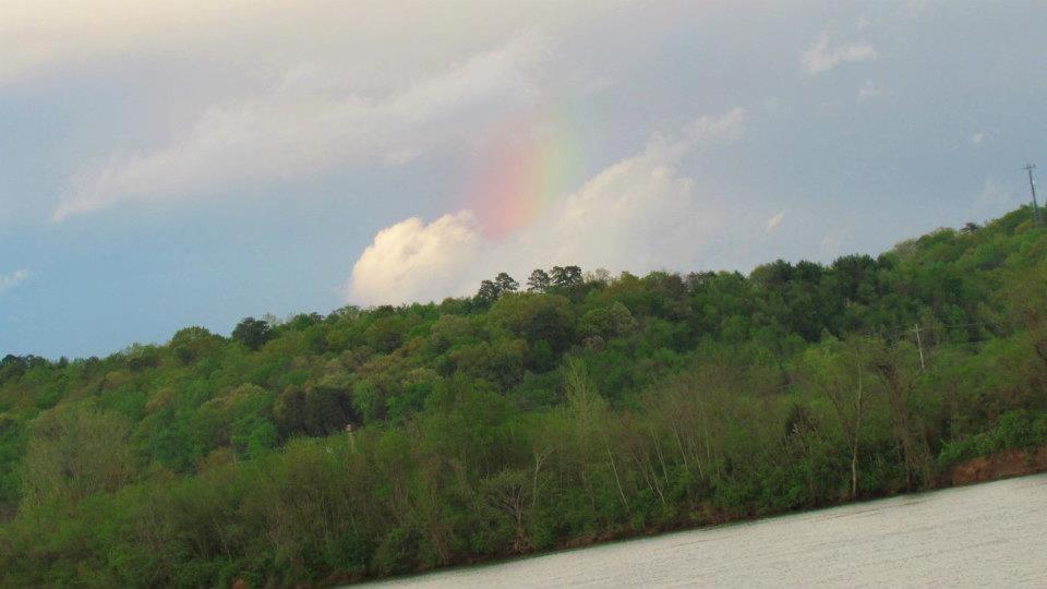 Elder Mountain Room At Tennessee Riverplace Чатануга Екстериор снимка