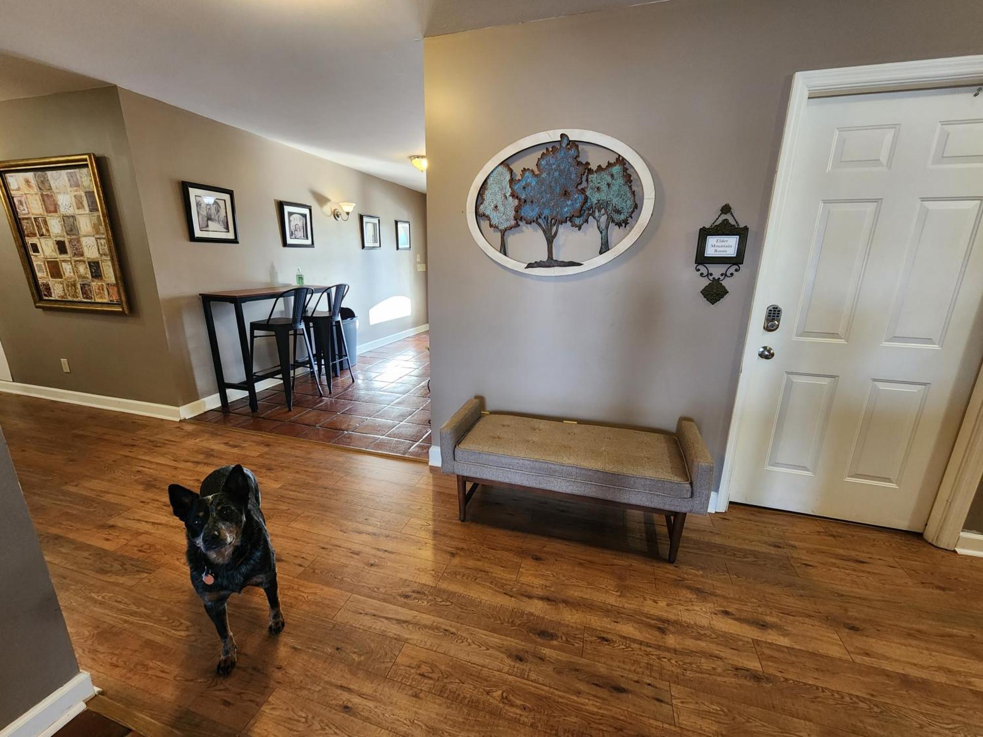 Elder Mountain Room At Tennessee Riverplace Чатануга Екстериор снимка